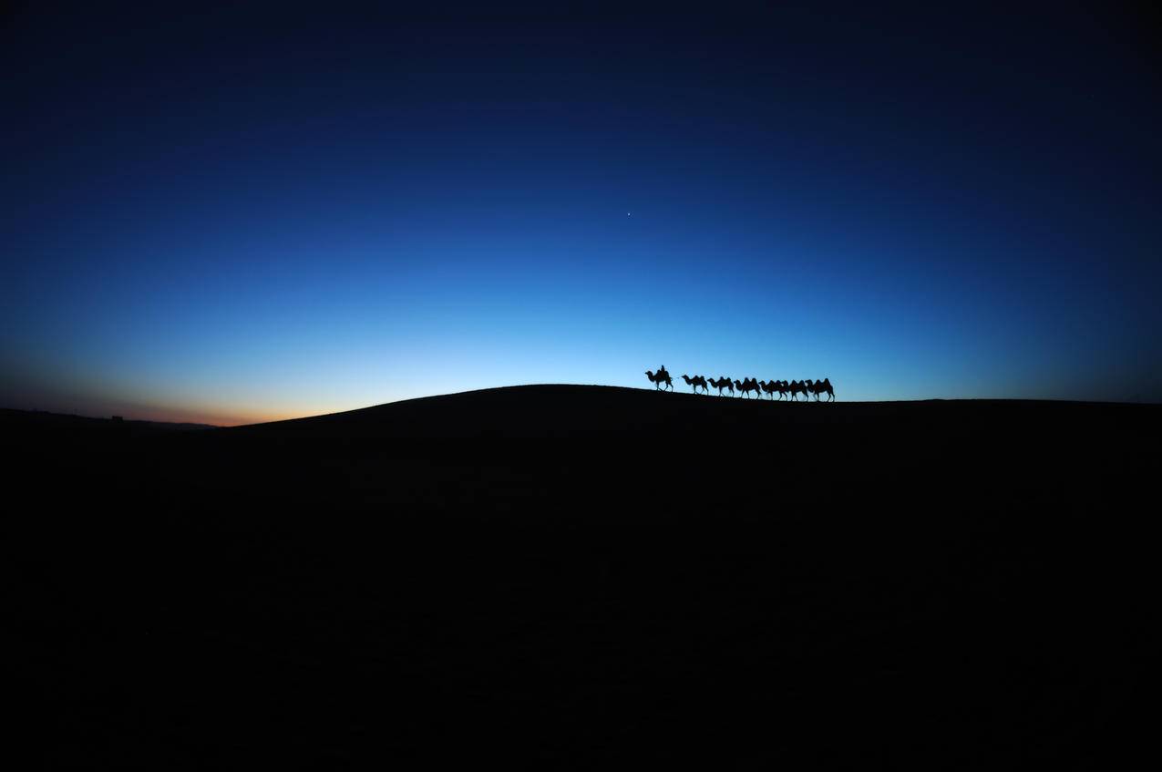 骆驼车队,沙漠黎明,内蒙古额济纳旗,4k风景高清壁纸