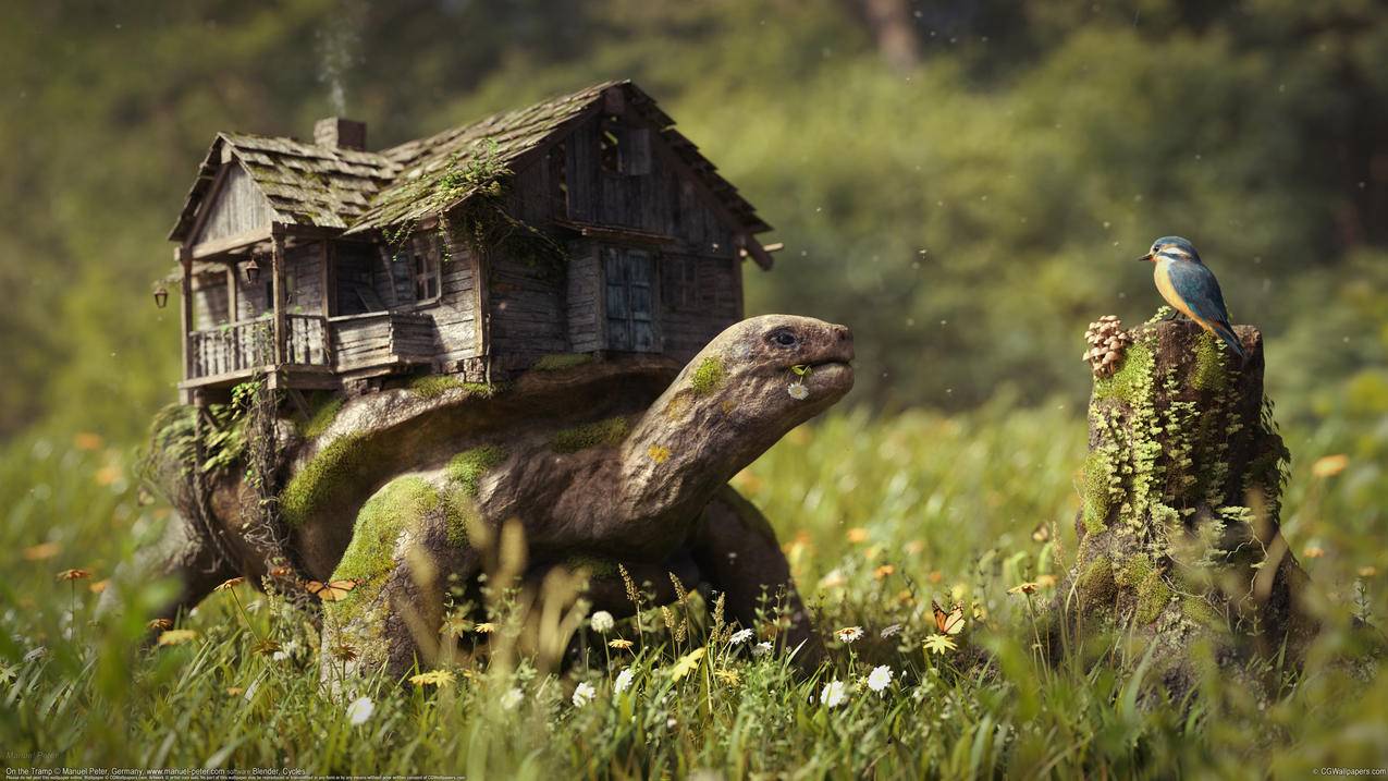 乌龟背上的房子,树桩上的鸟,草地,花,4K动物壁纸