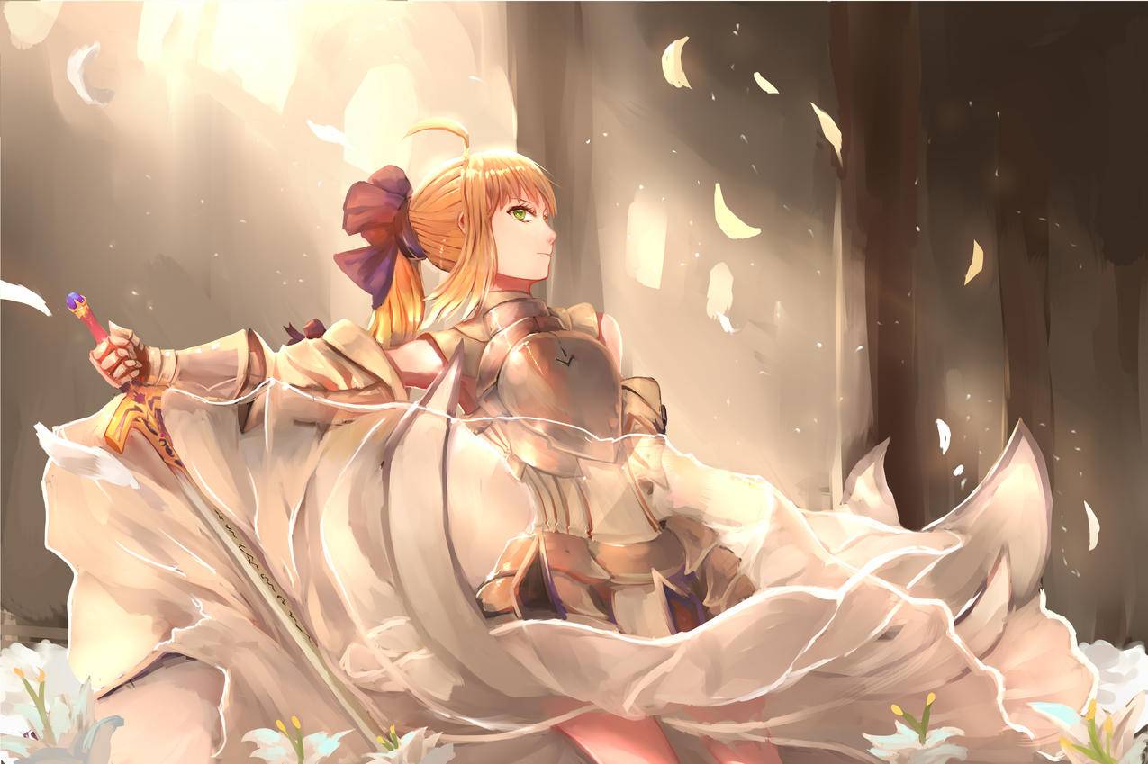 saber,Lily,5k动漫高清壁纸