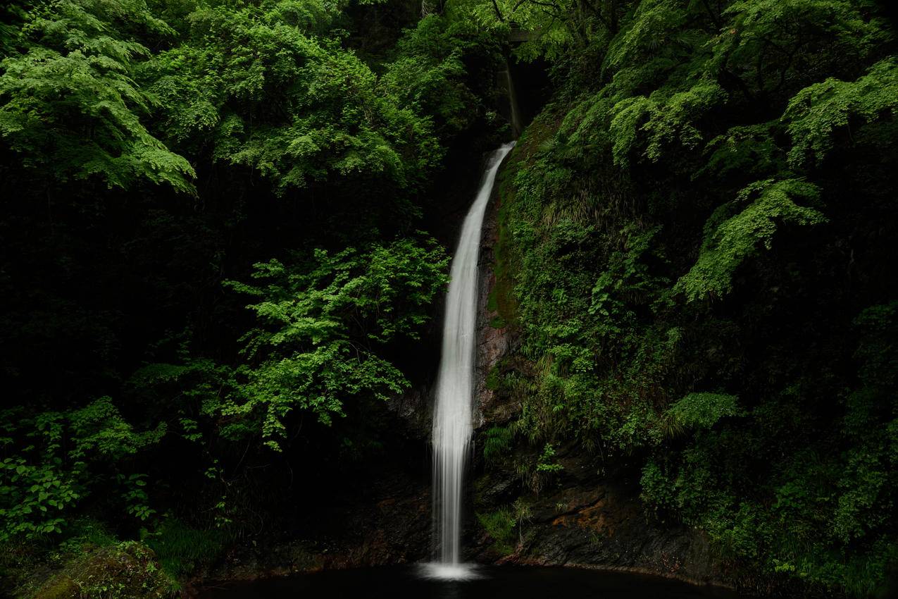 森林 小溪 瀑布 绿色树叶 护眼 4K高清风景壁纸 3840x2560