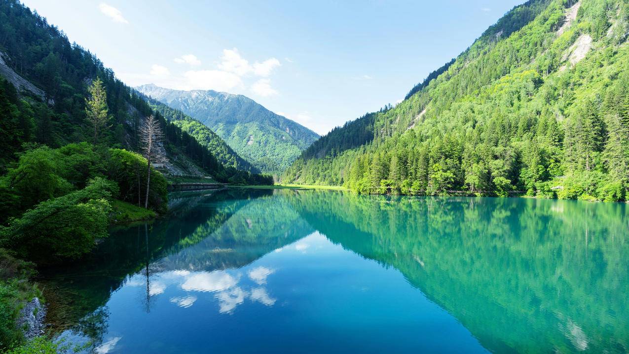 高清山水风景 树林河流 青山绿水4k壁纸3840x2160