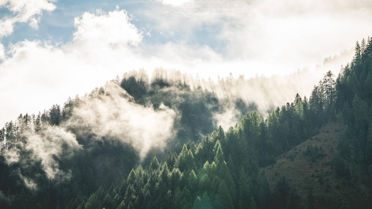 美丽的早晨,山林雾风光,4k风景高清壁纸
