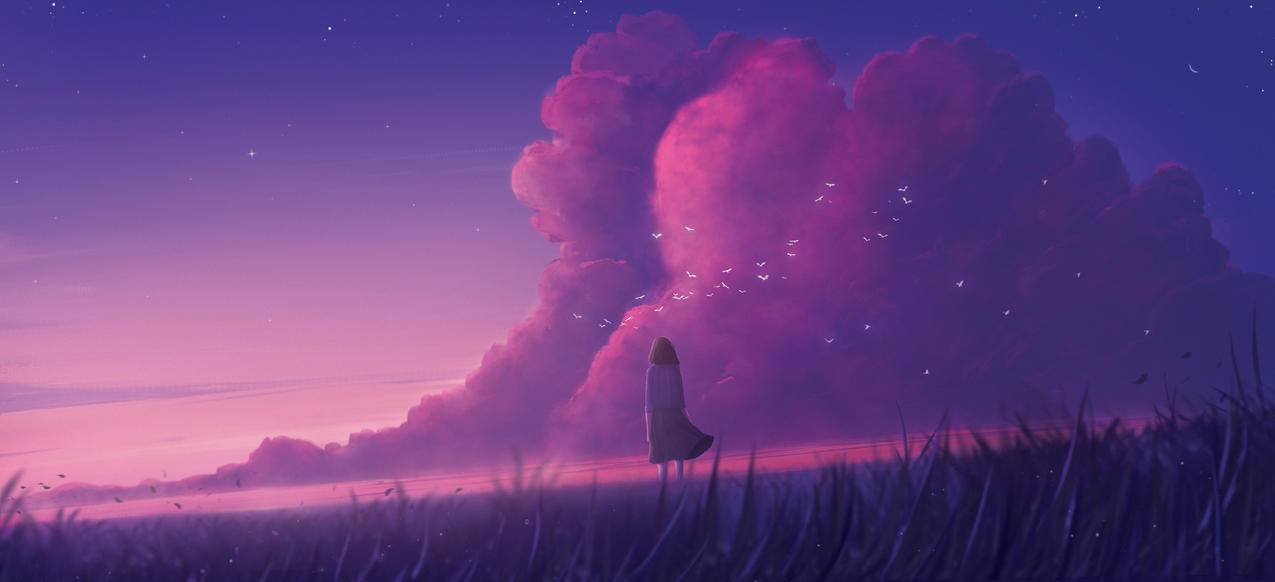 天空 云朵 星星 鸟 田野 孤独女孩 背影 草地 5K动漫人物风景壁纸