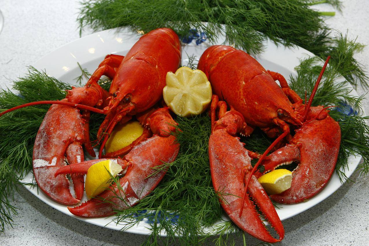 龙虾,海鲜,美味佳肴,4K美食高清图片