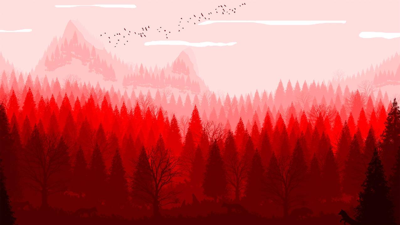 红色的自然,风景,4k高清壁纸