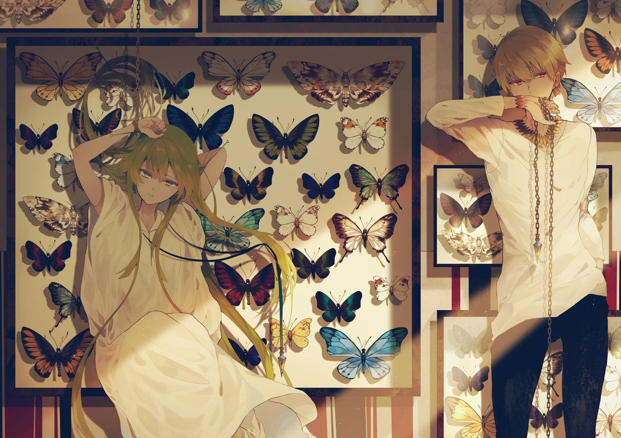 《Fate》绫香・沙条,女孩,吉尔伽美什,男孩,蝴蝶标本墙,4K高清动漫壁纸