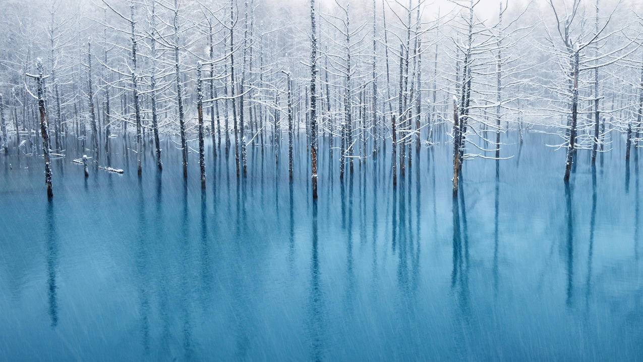蓝色的池塘,冬天风景,4k高清壁纸